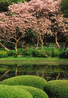 Japan, Tokyo. Reflecting pond, Imperial