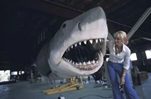 Teeth Gallery: JAWS - Mechanical Great White shark. Valerie Taylor