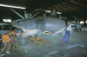 2 Gallery: JAWS, Mechanical Great White shark - Valerie Taylor