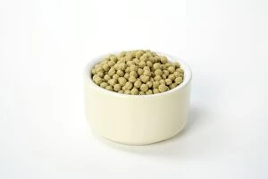 JD-19036 Fish Food pellets in bowl