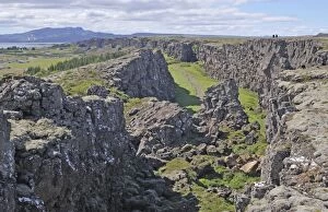 JD-19847 Iceland. Thingvellir (Pingvellir) National Park, showing the ravine edge which is part of the mid-Atlantic