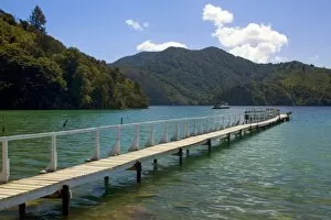 Images Dated 28th February 2008: Jetty romantic Jetty at a bay at Queen Charlotte Sound Marlborough Sounds, South Island, New Zealand