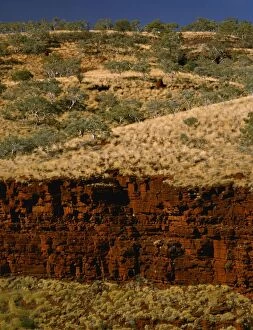 Images Dated 7th January 2009: Joffre Gorge Karijini National Park, Pilbara region, Western Australia JPF28667