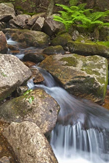 Jordan Stream in Acadia National Park, Maine