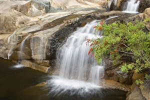 Images Dated 26th August 2008: Jourama Falls and gorge - water cascades down a narrow gorge into a pool. Beautiful sculpted rocks