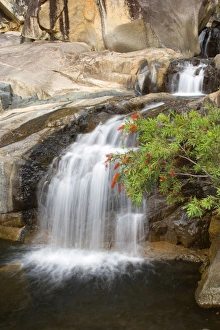 Images Dated 26th August 2008: Jourama Falls and gorge - water cascades down a narrow gorge into a pool. Beautiful sculpted rocks