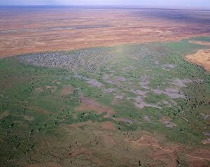 JPF-11723 Australia - seasonal swamp by Old Andado station