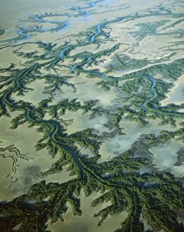JPF-13812 Aerial - Roper River delta with saline flats and mangrove-lined dendritic channels