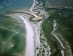 JPF-13824 Boucaut Bay, aerial sandy beach & mangroves