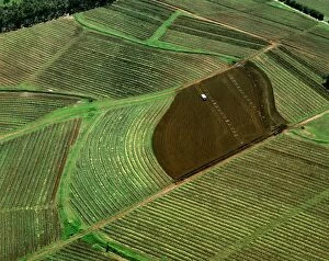 JPF-13991 Aerial: vineyards Hunter Valley