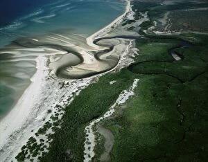 JPF-14405 Aerial - Boucaut Bay river mouth, sandy beach & mangroves