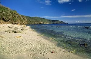 JPF-9802 Christmas Island - Indian Ocean - Ethel beach (coral rubble) limestone cliffs & Pandanus