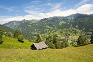 Jungfrau Region, Switzerland. Alpine pasture
