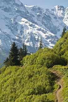 Bernese Gallery: Jungfrau Region, Switzerland. Alping trail