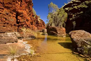 Kalamina Gorge - a river flows down Kalamina Gorge surrounded by steep, terraced red walls. Gum trees and other adapted vegetation grows on islands in the river - Kalamina Gorge, Hamersley Range, Karijini National Park, Pilbara, Western Australia