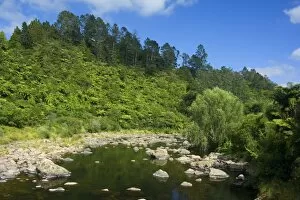 Karangahake Gorge - river flowing through Karangahake gorge surrounded by native rainforest with lots of tree ferns