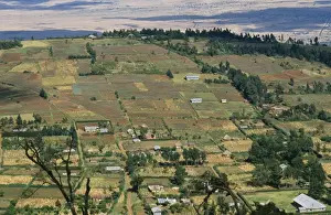 Subsistence Prints: Kenya ASW 2461 Subsistence farming © Alan Weaving / ARDEA LONDON