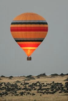 Images Dated 29th August 2004: Kenya - Hot air balloon, over savannah