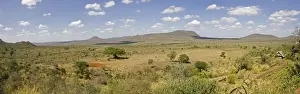 Tsavo Prints: Kenya - Panoramic view of typical scenery in Tsavo West National Park taken from Nguia bandas