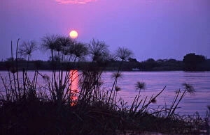 Kenya. Sunset reflects on water through