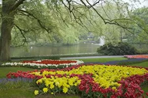 Images Dated 17th October 2007: Keukenhof Gardens in Spring Tulip Beds and Other Spring Flowers Netherlands PL001556