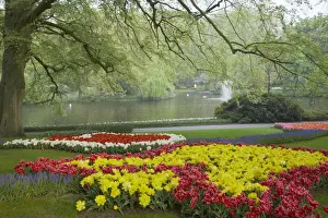 Keukenhof Gardens in Spring Tulip Beds and Other Spring Flowers Netherlands PL001556