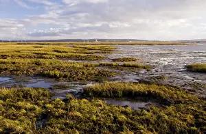 Protected Area Prints: Keyhaven Marshes Nature Reserve