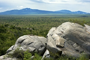 Images Dated 25th March 2010: Kilimatiti plains with Ngorongoro in the background