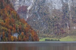 Images Dated 28th October 2015: Koenigssee autumn K&, xf6;nigssee / Kings lake autum