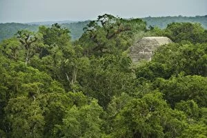 LA-4288 Tikal Site - Rainforest