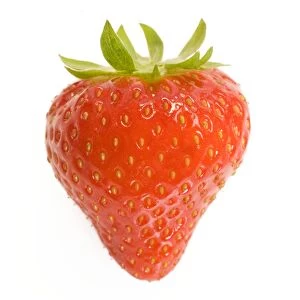 LA-5713 Strawberries - single in studio