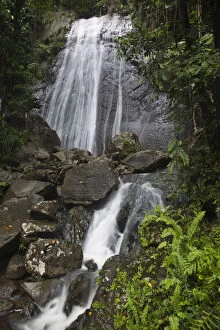 Images Dated 3rd August 2010: La Coca Falls, El Yunque Rainforest, East