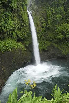 La Paz Waterfall Costa Rica