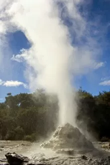 Images Dated 9th March 2008: Lady Knox Geyser - erupting Geyser spewing water and steam in the blue sky