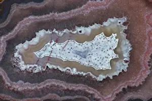 Agate Prints: Laguna Agate - Mexico - Cross-section
