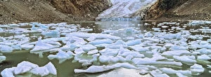 Laguna Piedras Blancas, Los Glaciares National