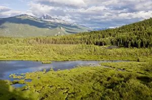 Protected Area Prints: Lake and bog at Cottonwood Slough, Jasper National Park, the Rockies, Canada