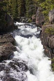 Images Dated 16th June 2013: Lake Creek Falls Beartooth Highway, Montana, USA