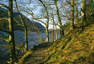 Images Dated 15th June 2006: Lake District - Lake Buttermere