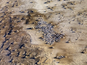 Images Dated 25th April 2009: Lake Eyre north South Australia