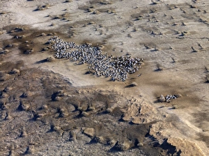 Images Dated 25th April 2009: Lake Eyre north South Australia