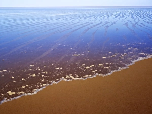 Images Dated 25th April 2009: Lake Eyre north South Australia