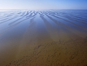 Images Dated 25th April 2009: Lake Eyre north South Australia