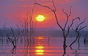 Sunset Gallery: Lake Kariba - Sunset over drowned trees