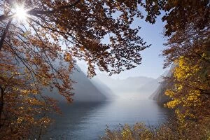 Images Dated 30th October 2015: Lake Koenigssee autumn as seen from Malerwinkel