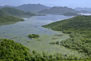 Lake Skadar embedded between mountains with marshland and isles Lake Skadar National Park, Montenegro