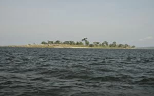 Images Dated 11th January 2006: Lake Victoria, Uganda, Africa - fishing village on island south of Jinja