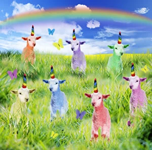 Lambs, spring scene with Butterflies and rainbow
