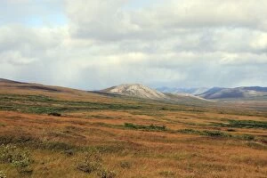 Images Dated 27th August 2008: Landscape of arctic tundra