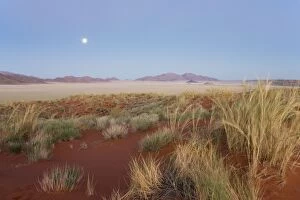 Landscape at dawn with full moon and bushman grass